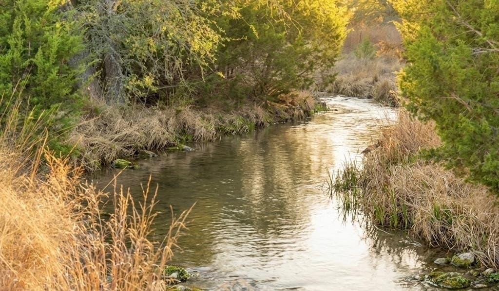 10 acres in Gillespie County