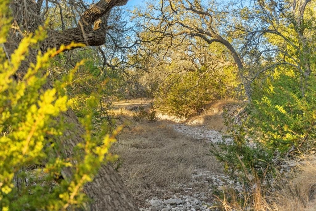 10 acres in Gillespie County gallery image 4
