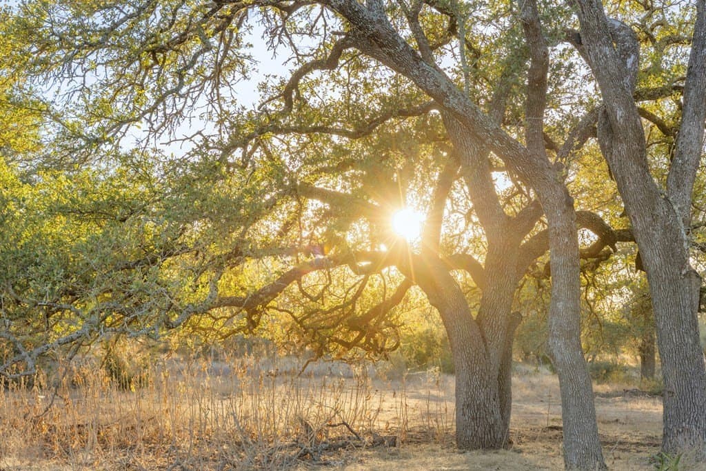 10 acres in Gillespie County gallery image 2