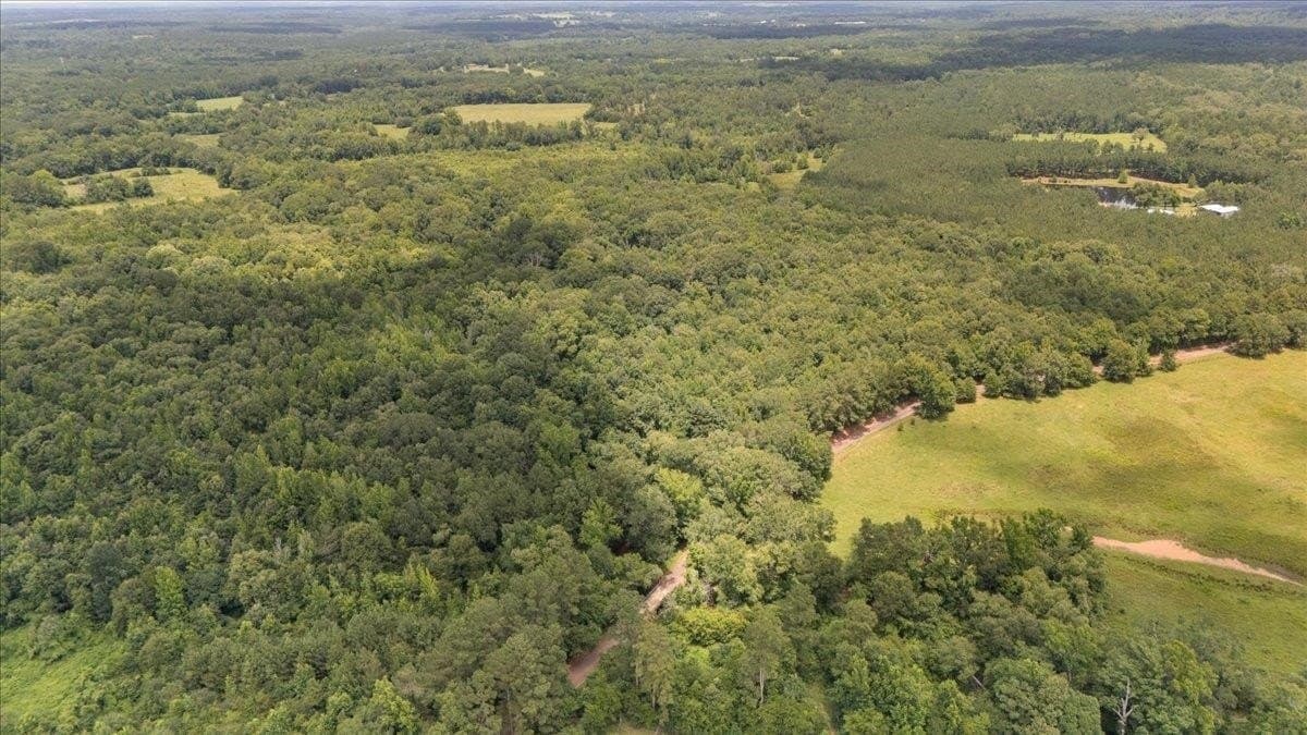 38.11 acres in Rusk County gallery image 4