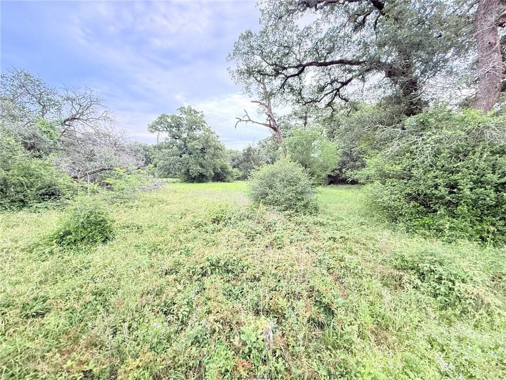 3.04 acres in Brazos County gallery image 4