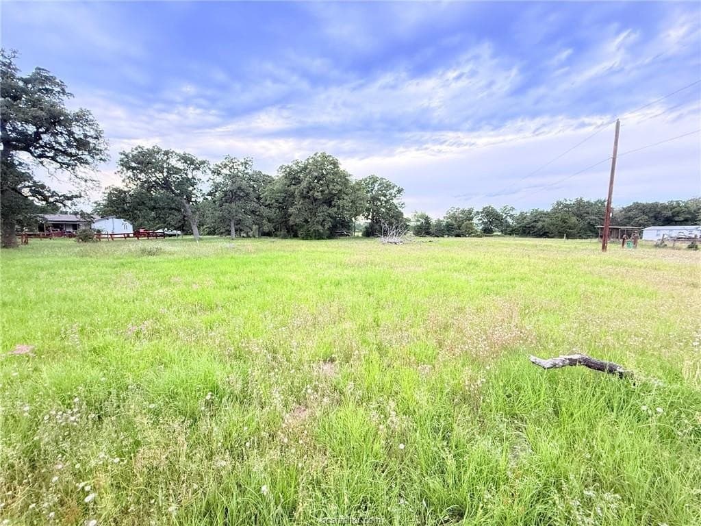 3.04 acres in Brazos County gallery image 3