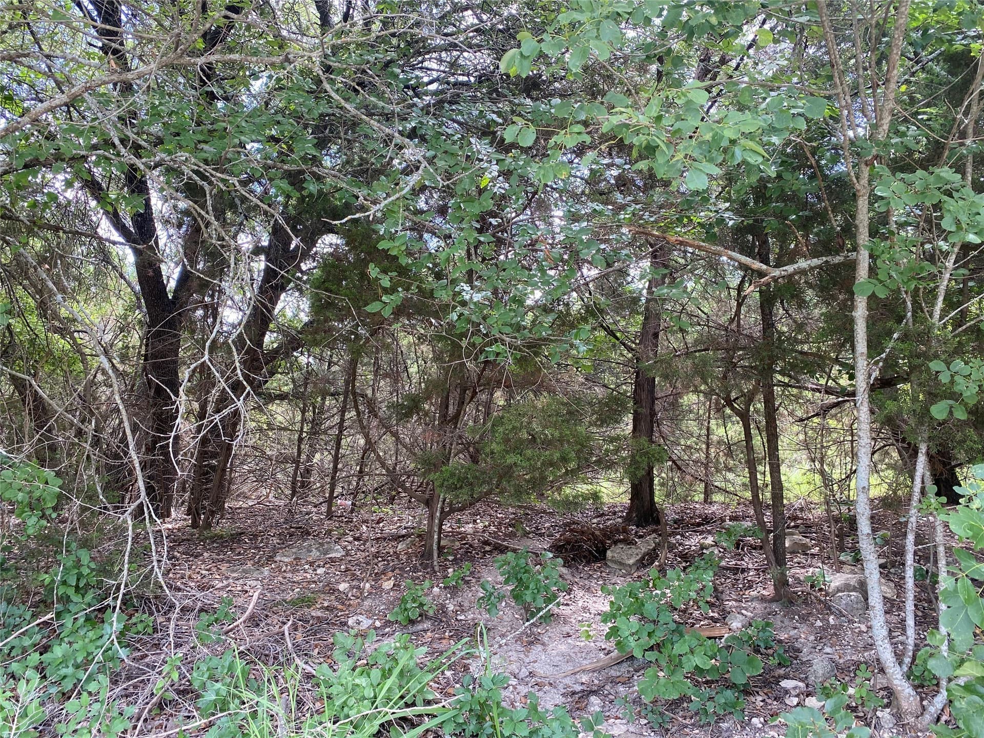 0.87 acres in Bosque County gallery image 3