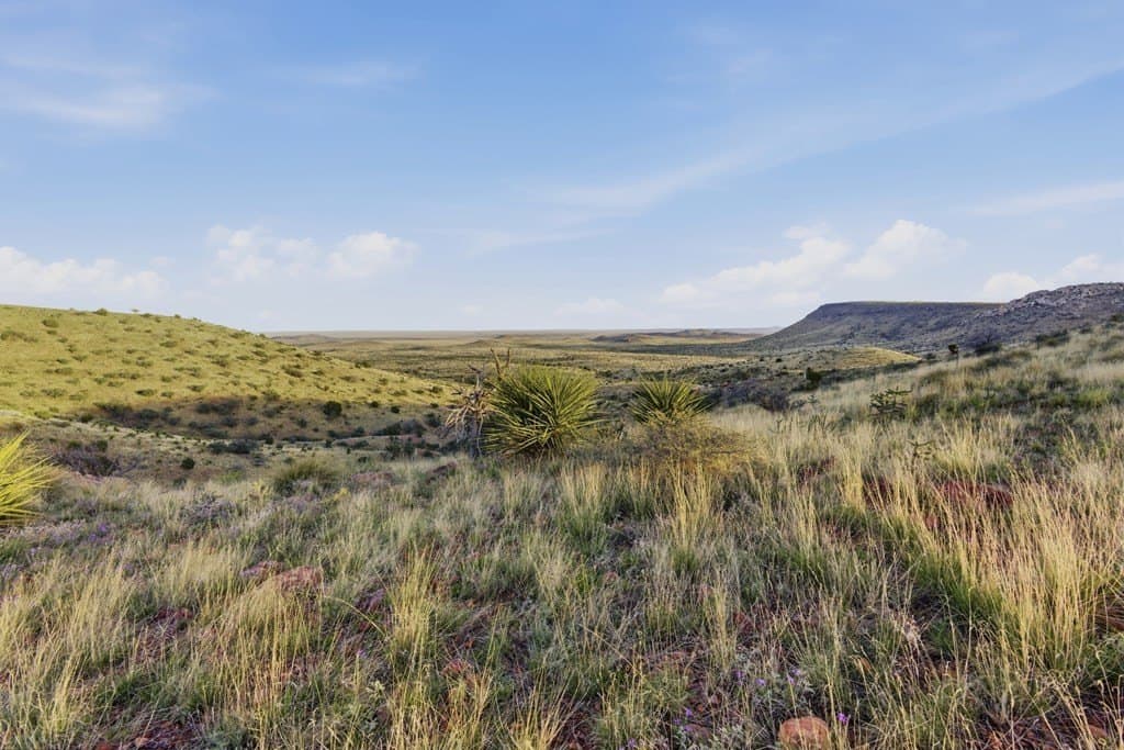 40.45 acres in Jeff Davis County - photo 39