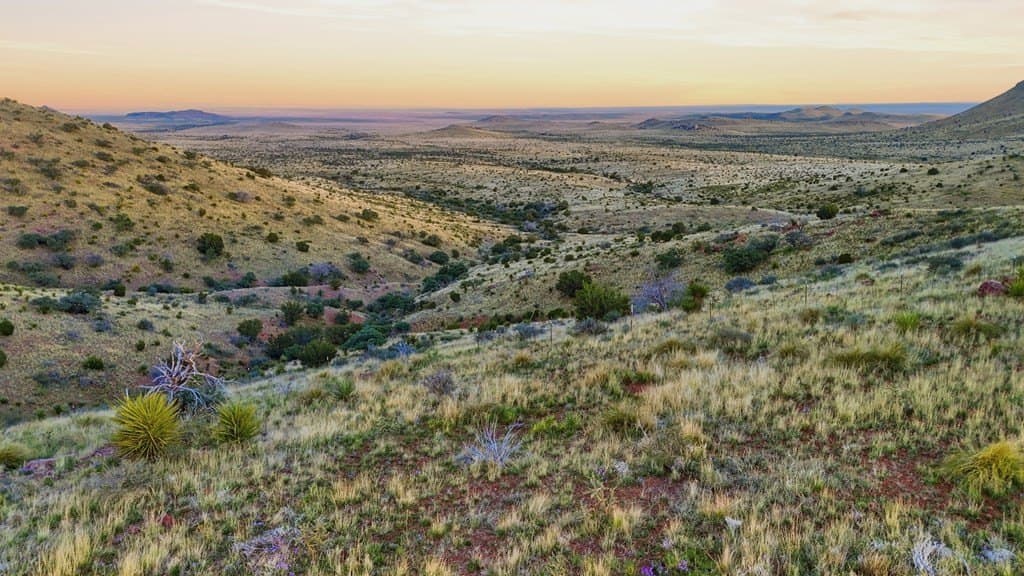 40.45 acres in Jeff Davis County - photo 45