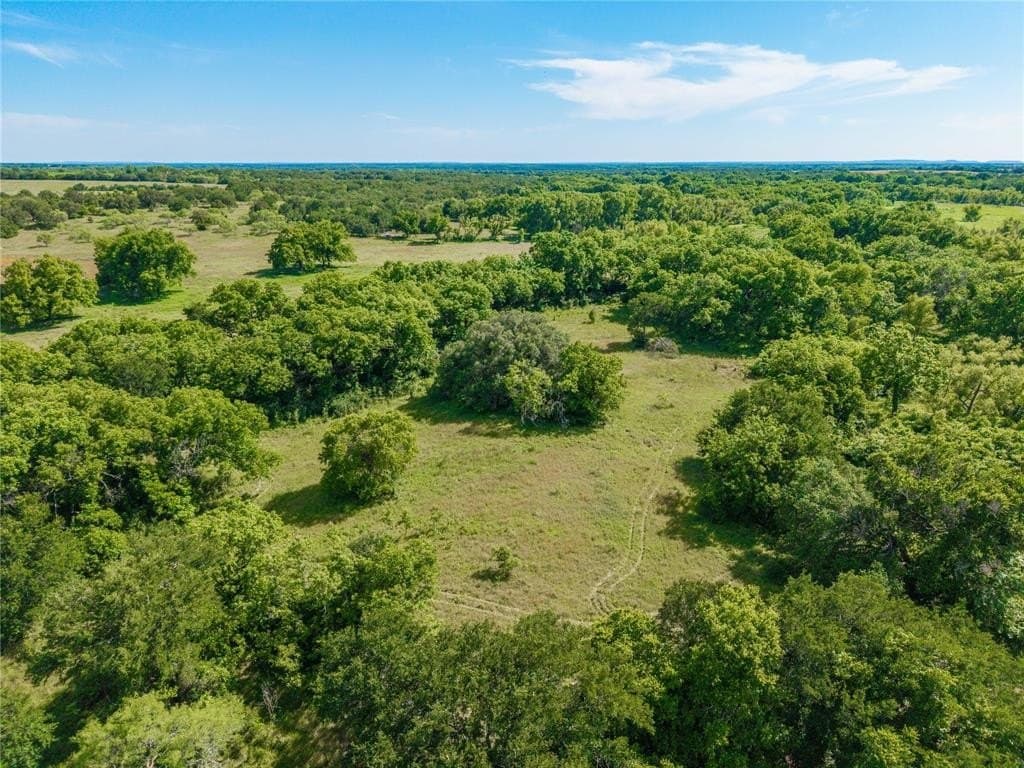 92.2 acres in Comanche County gallery image 3