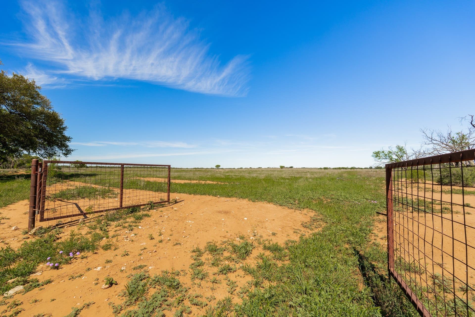 200 acres in Coleman County - photo 17