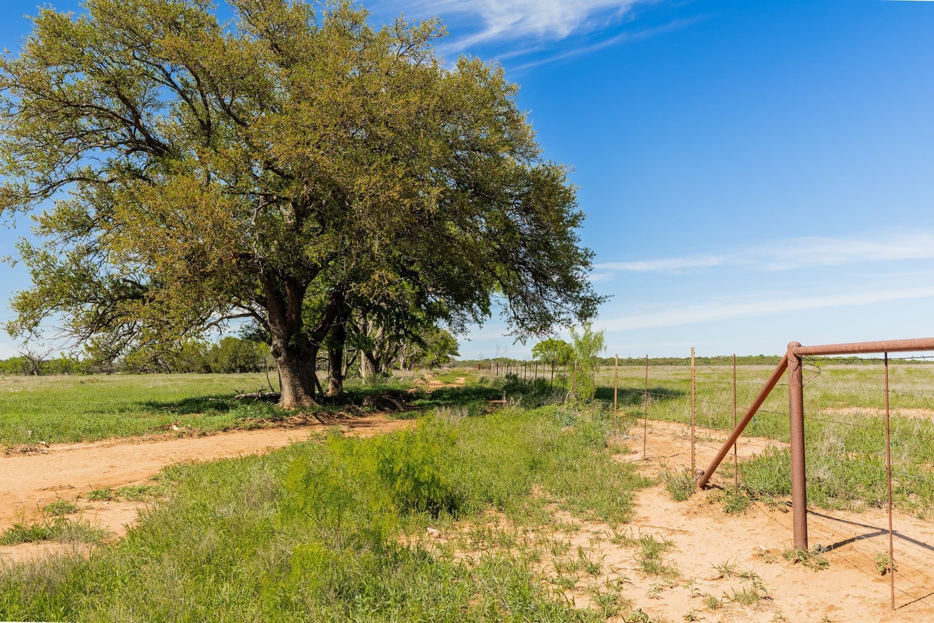 200 acres in Coleman County - photo 16