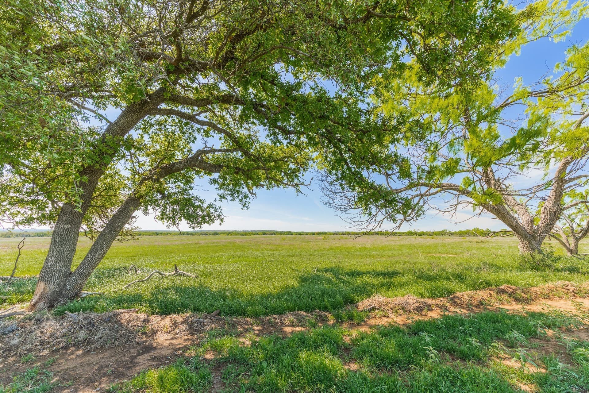 200 acres in Coleman County - photo 2