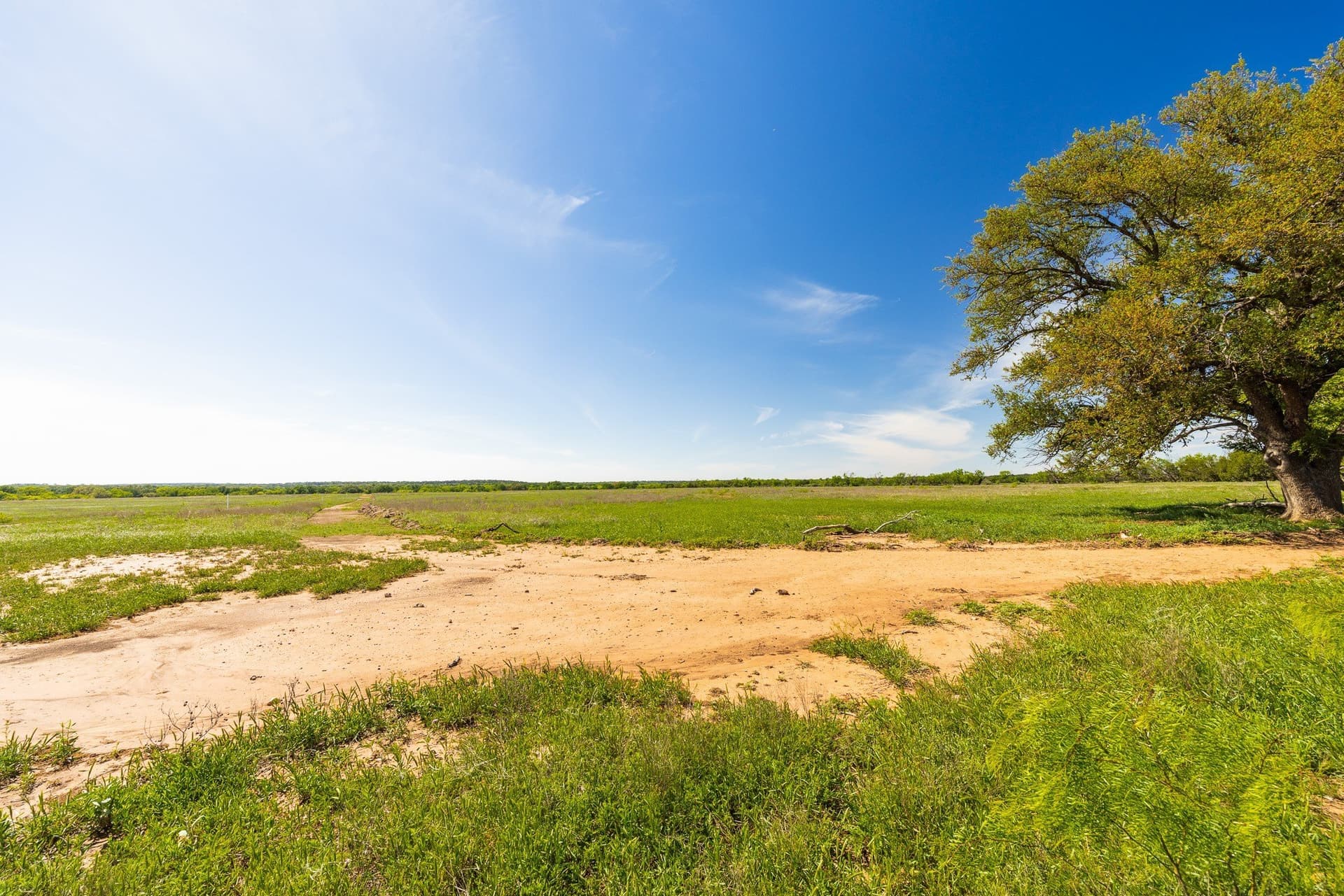 200 acres in Coleman County - photo 13