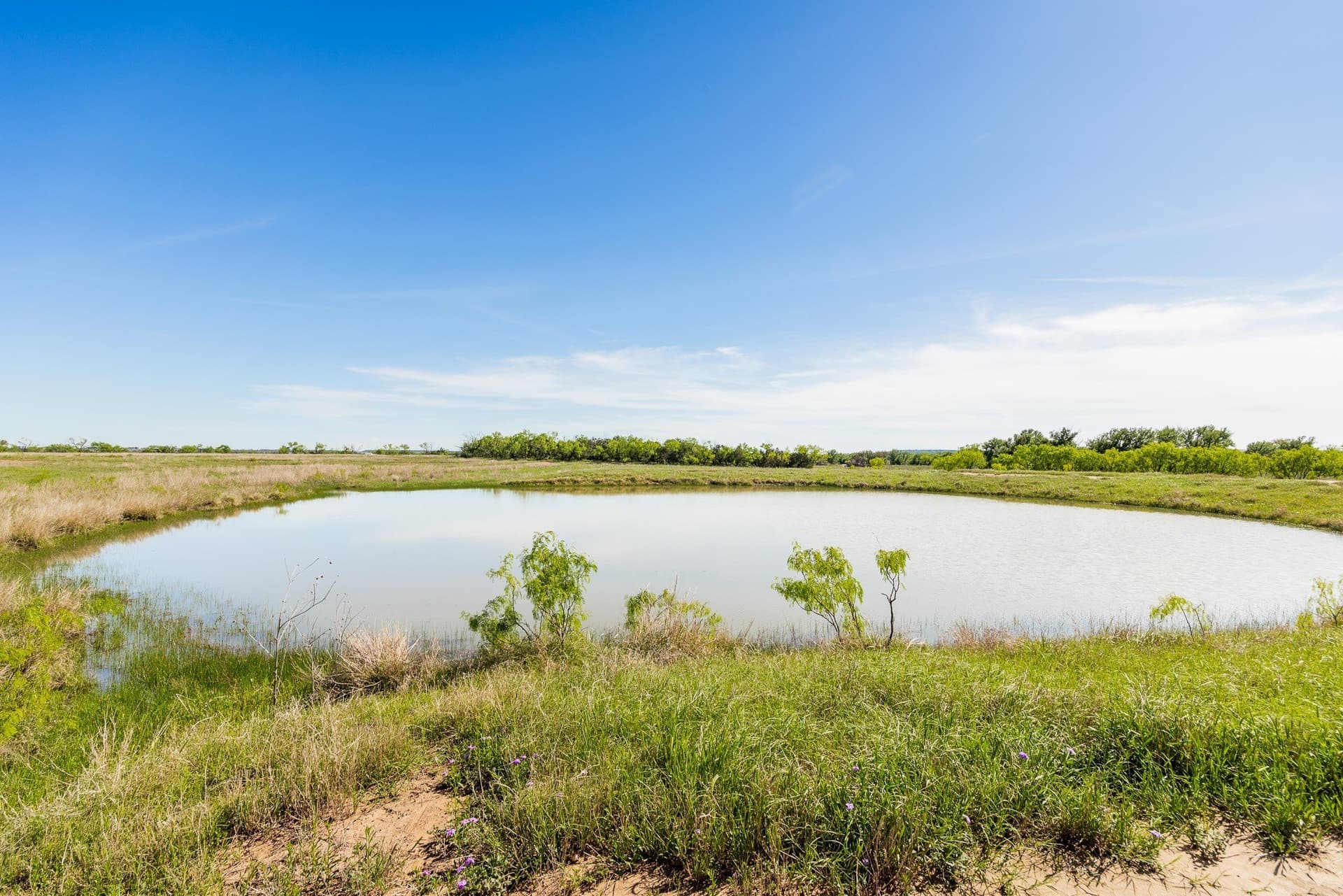200 acres in Coleman County - photo 10