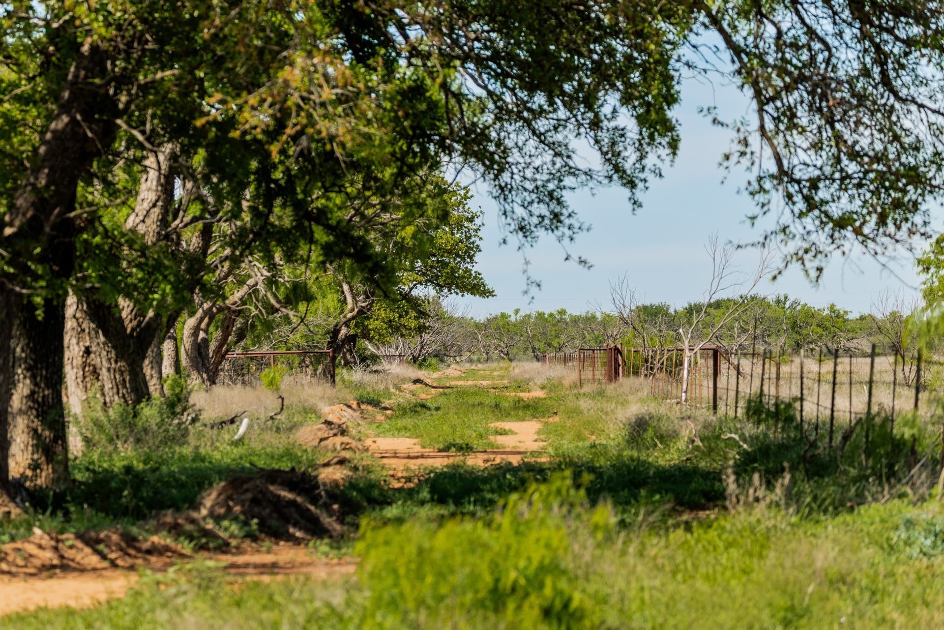 200 acres in Coleman County - photo 15
