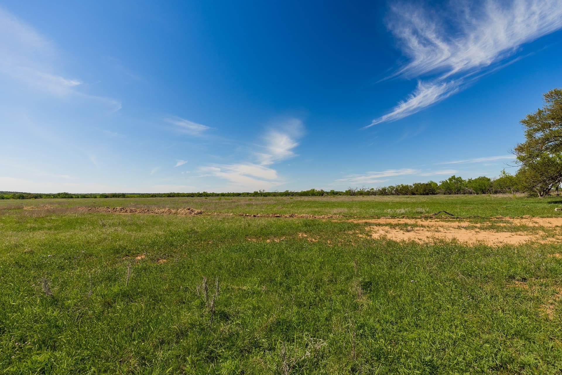 200 acres in Coleman County - photo 19