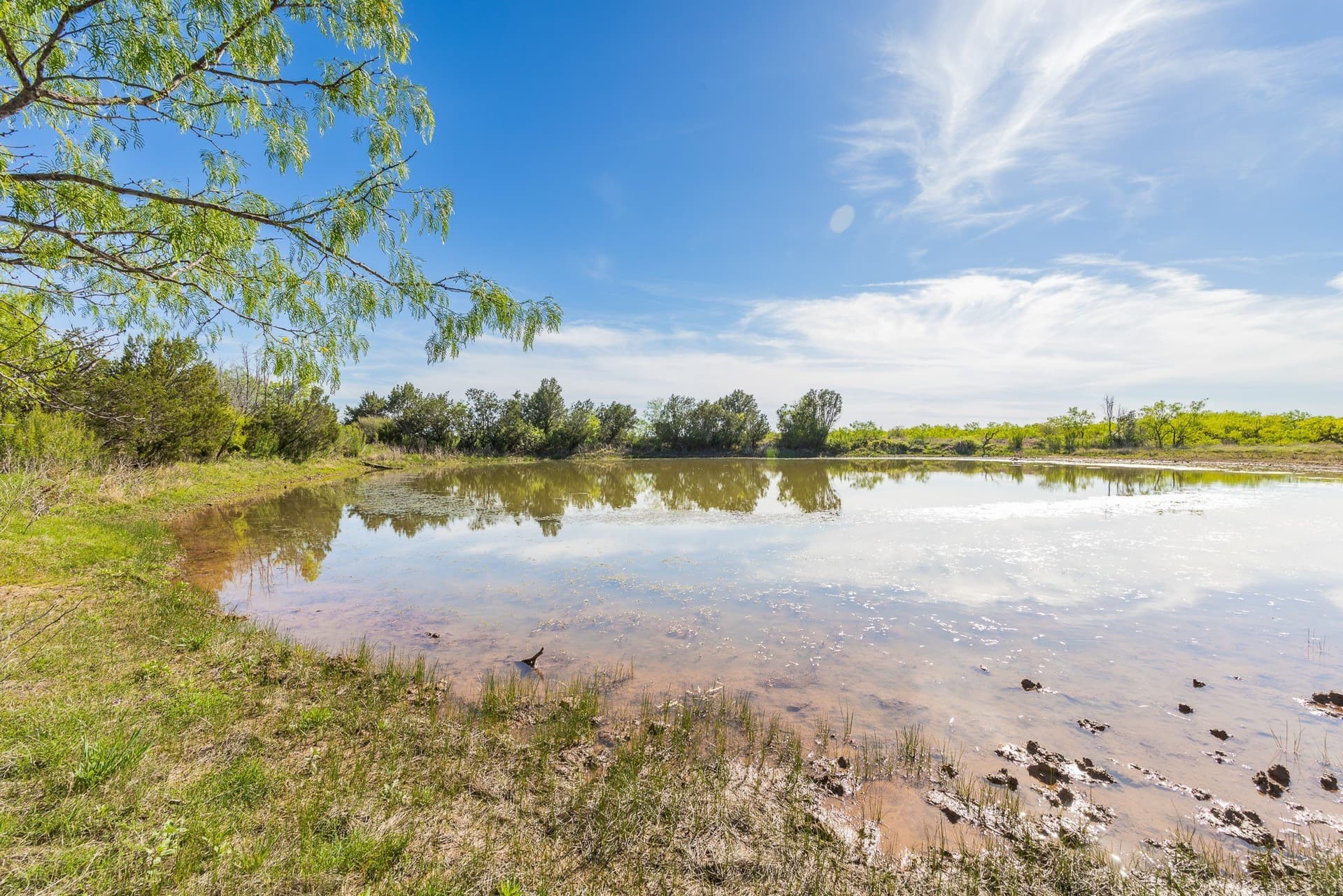 200 acres in Coleman County - photo 7