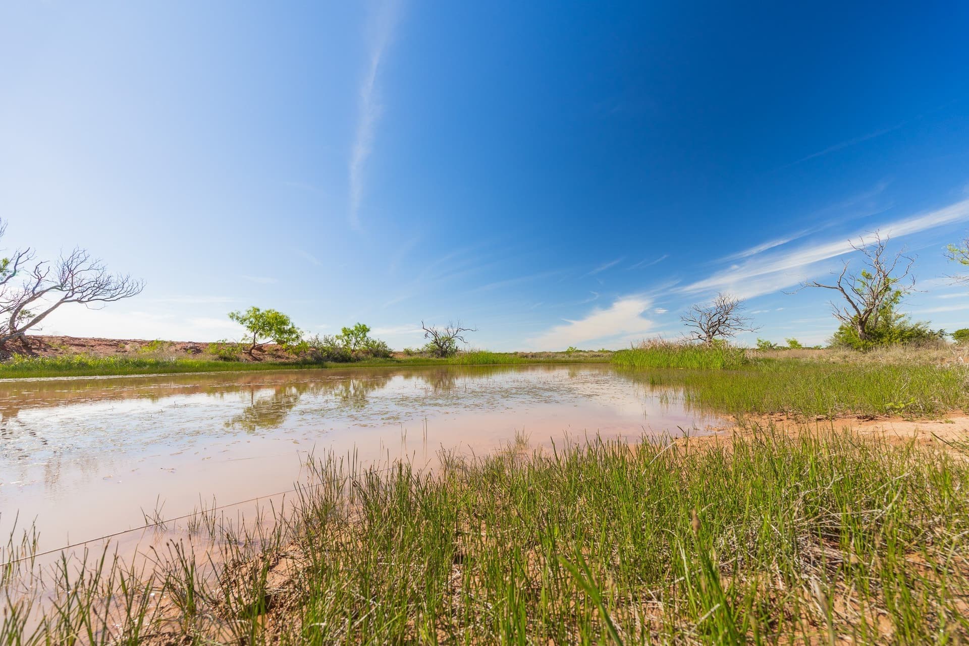 200 acres in Coleman County - photo 5