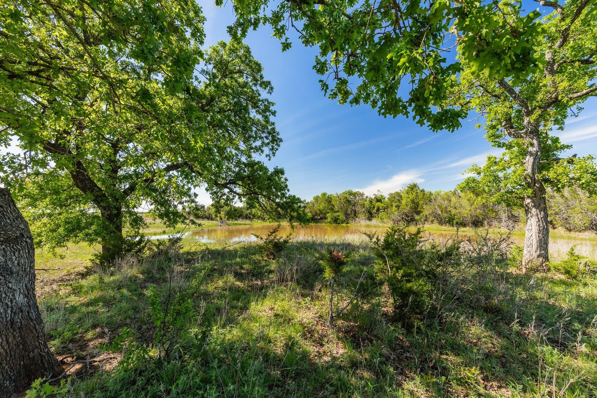 200 acres in Coleman County