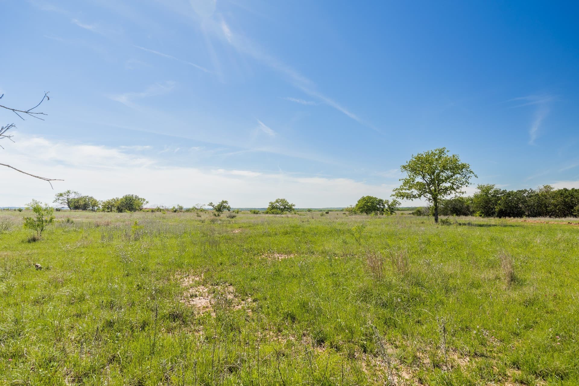 200 acres in Coleman County - photo 21