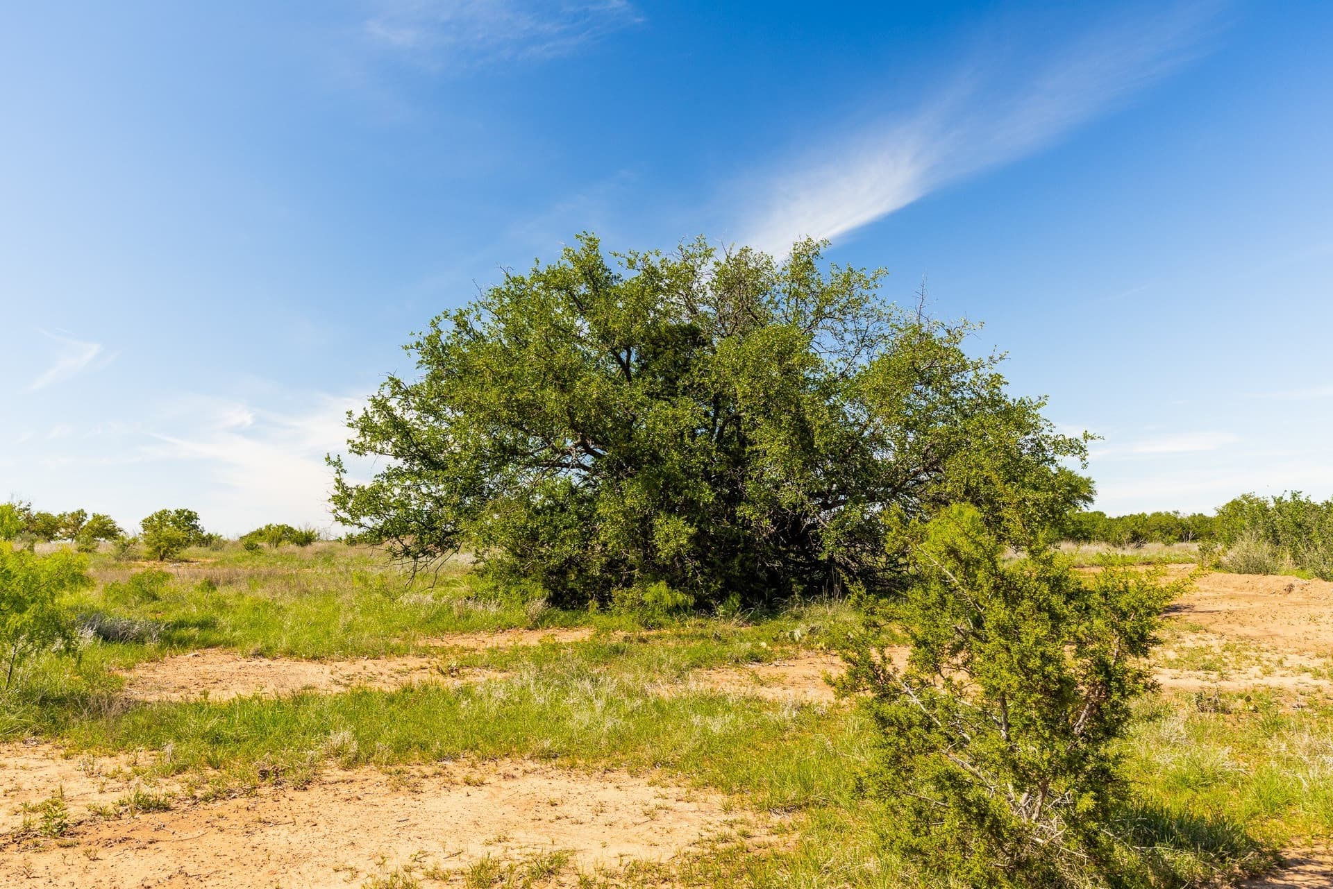 200 acres in Coleman County - photo 14