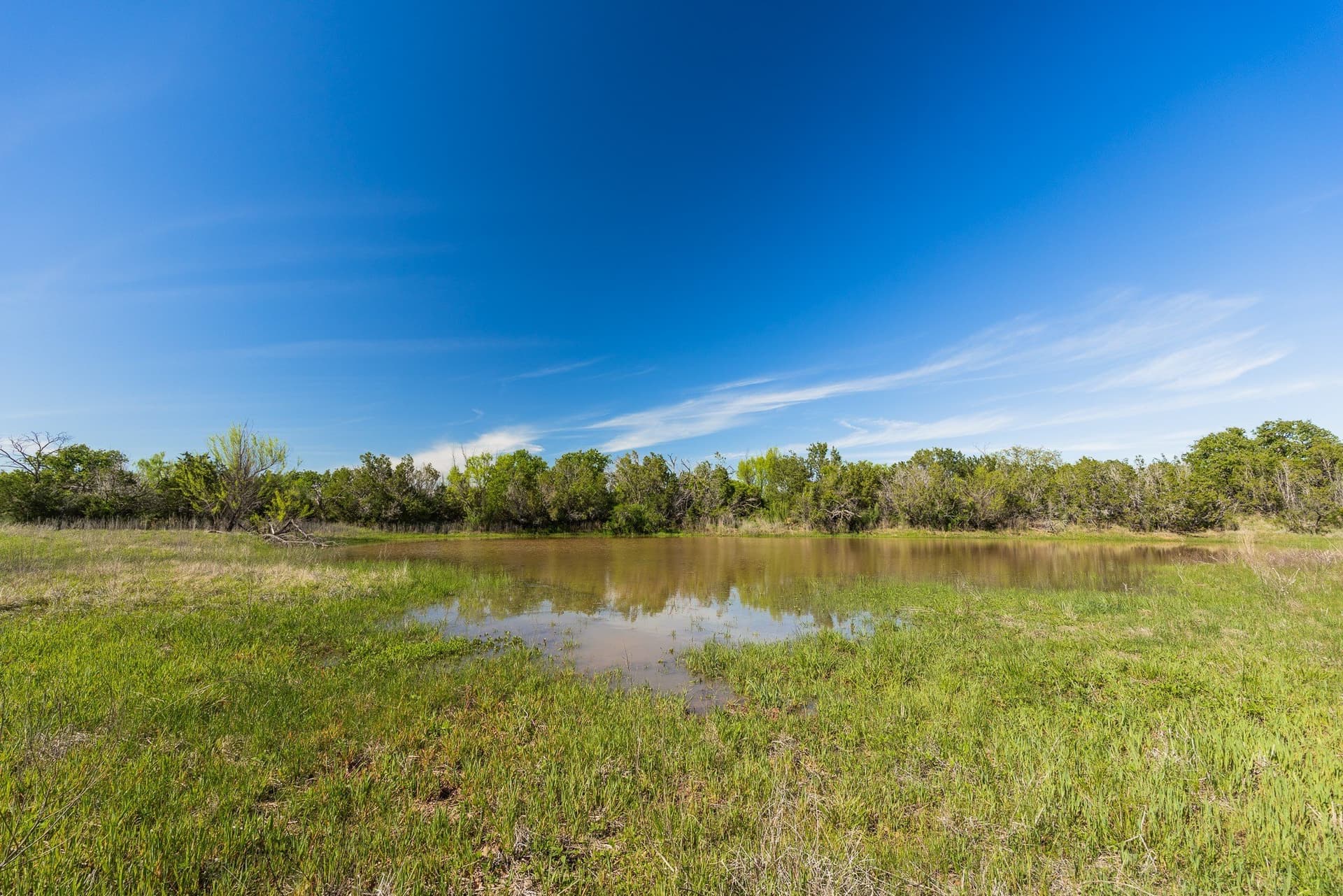 200 acres in Coleman County - photo 8