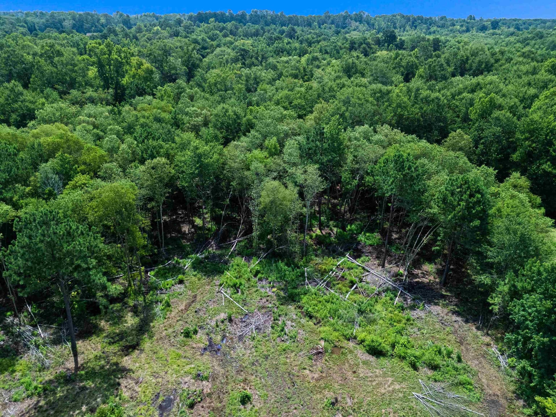 3.02 acres in Gregg County - photo 7