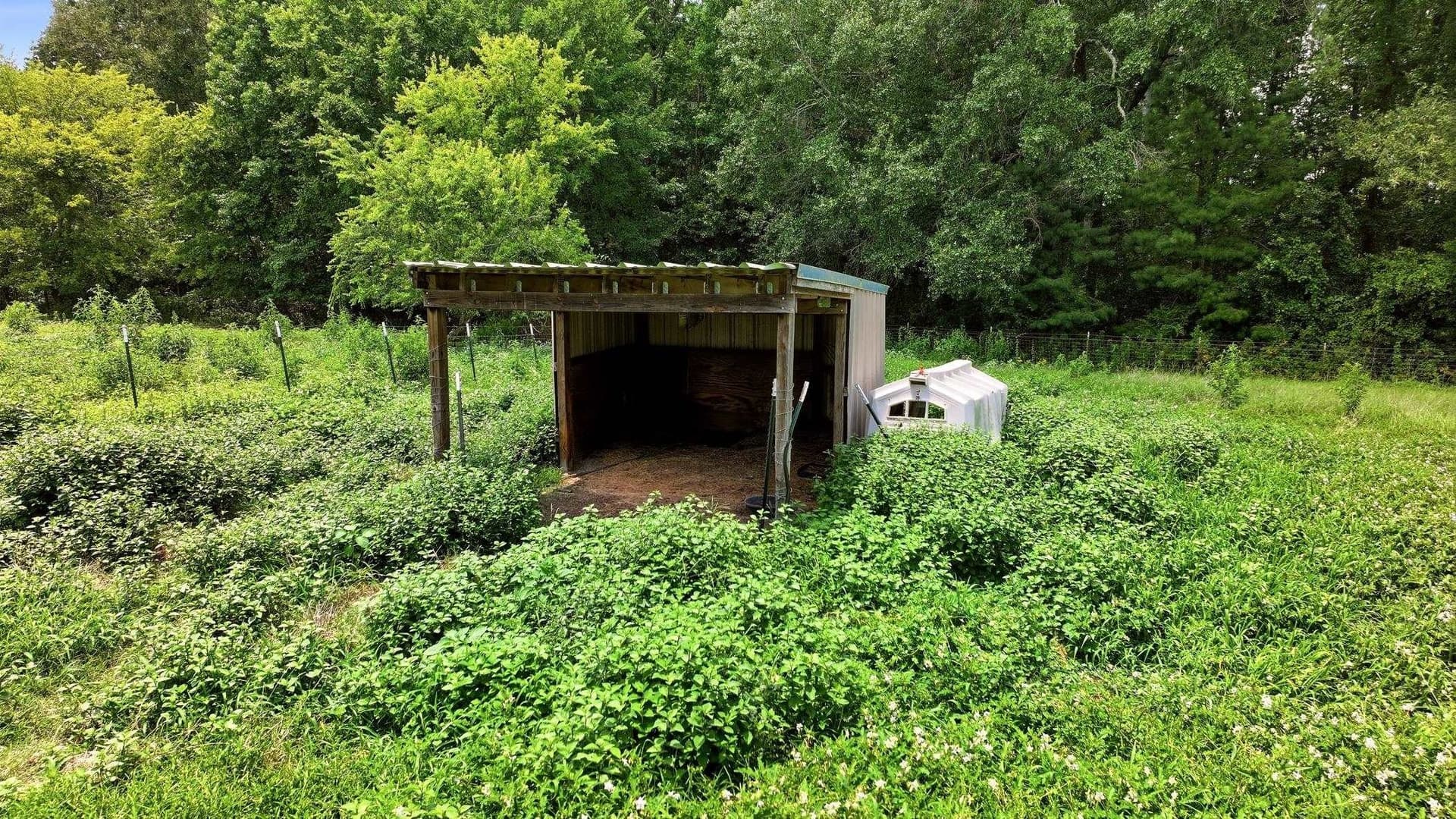 18.08 acres in Smith County - photo 33