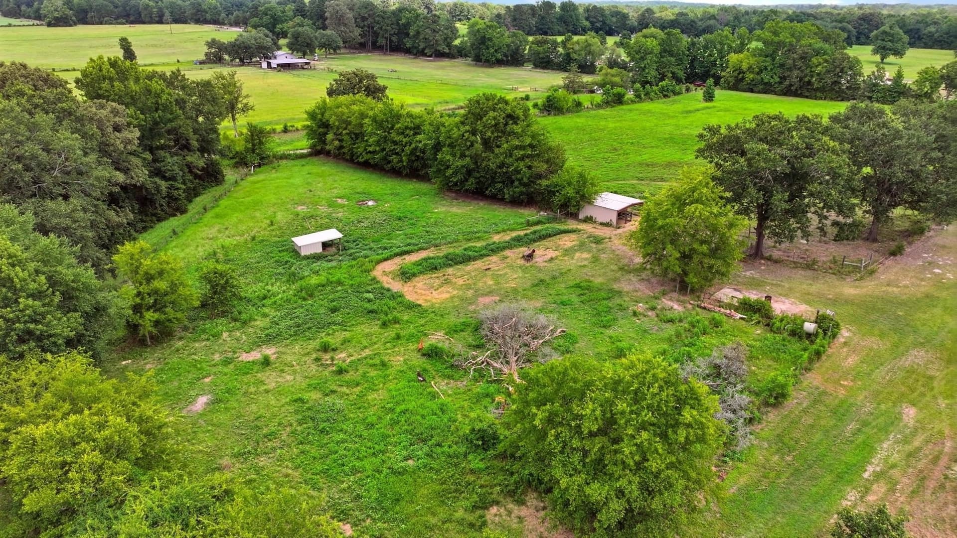 18.08 acres in Smith County - photo 30