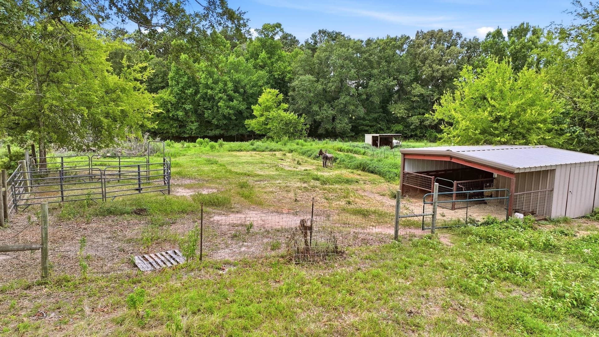 18.08 acres in Smith County - photo 31
