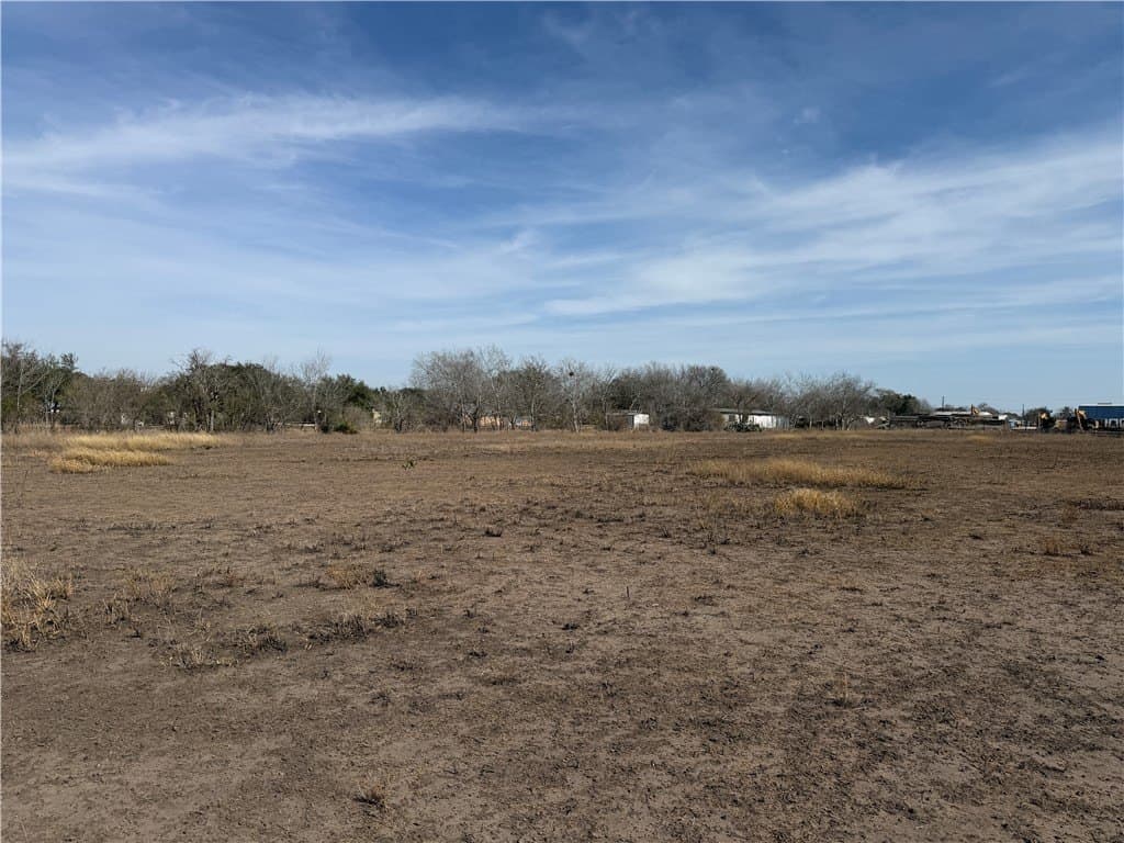 3 acres in Live Oak County gallery image 4