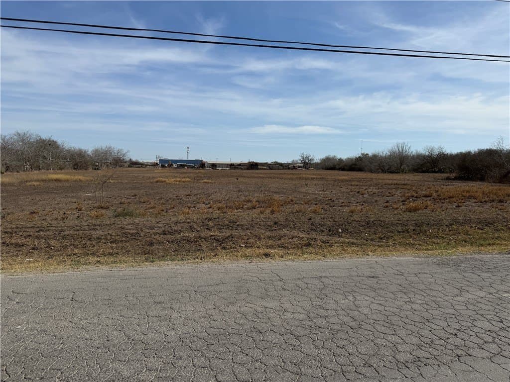 3 acres in Live Oak County gallery image 2