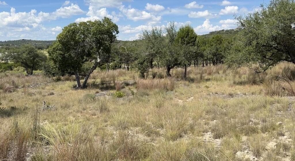 5.24 acres in Kerr County - photo 9