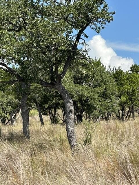 5.24 acres in Kerr County - photo 2