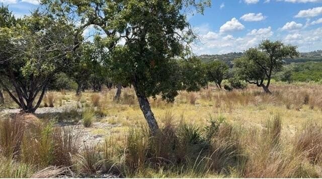 5.24 acres in Kerr County - photo 10