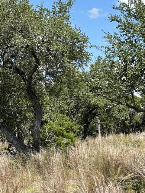 5.24 acres in Kerr County - photo 5