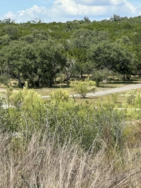 5.24 acres in Kerr County - photo 6
