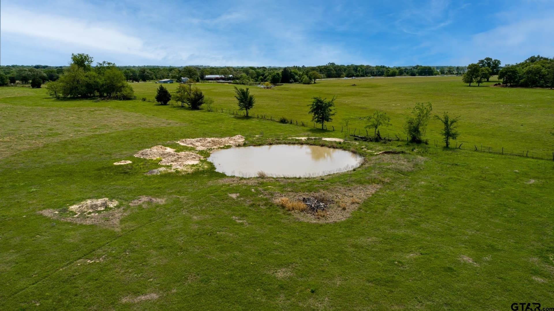 12 acres in Rains County gallery image 3