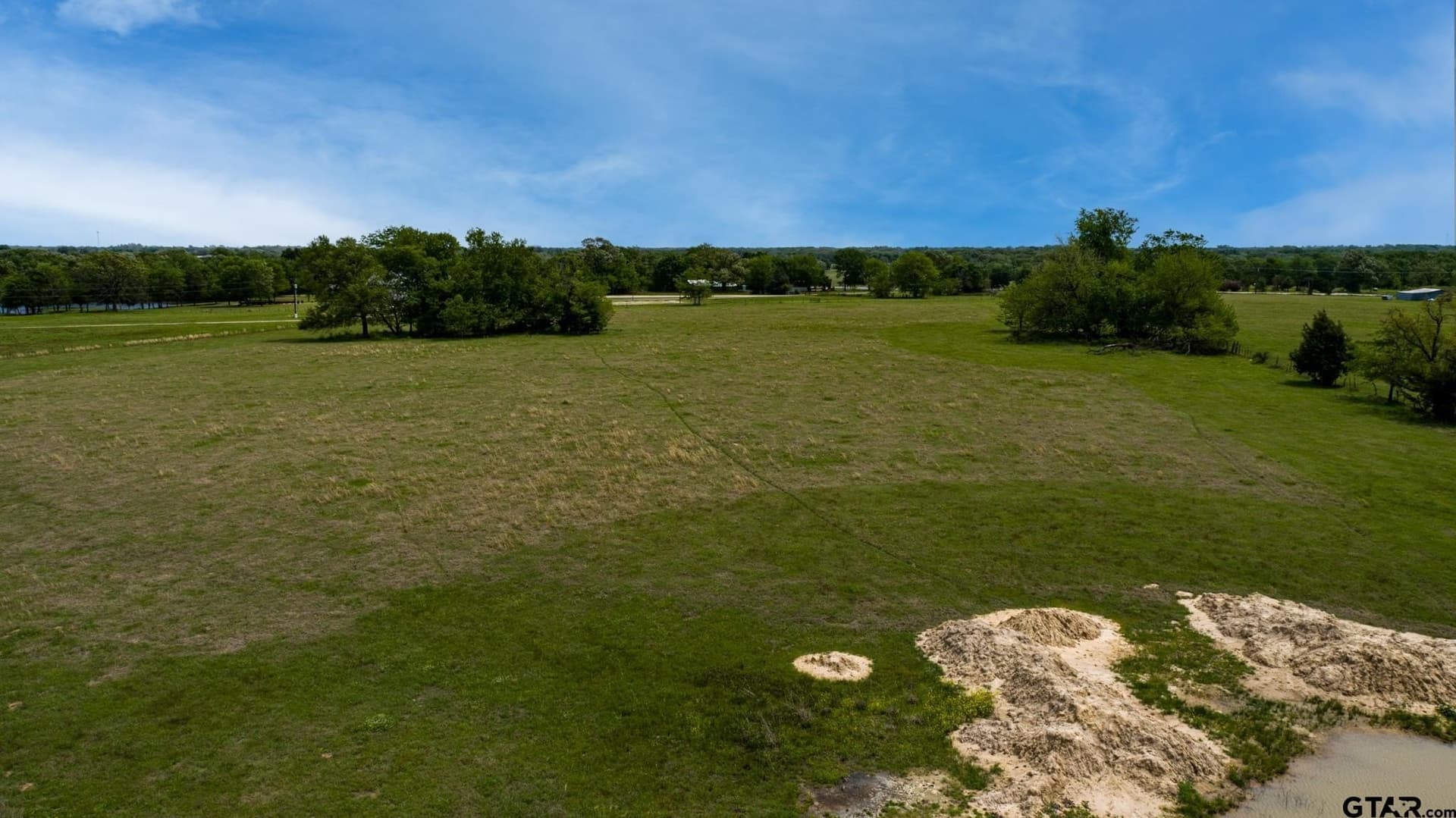 12 acres in Rains County gallery image 4