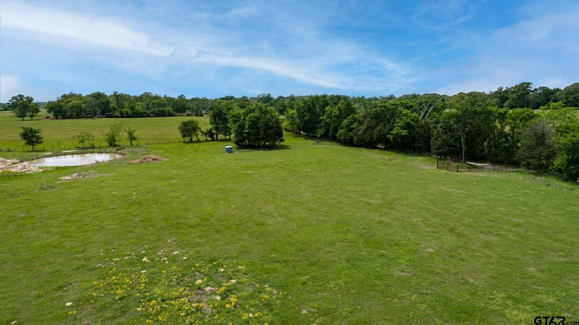 12 acres in Rains County featured view