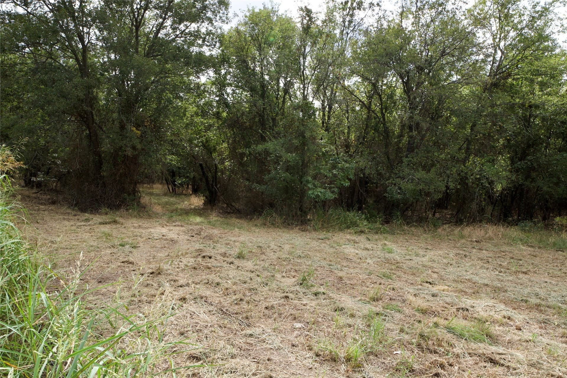 18.9 acres in Parker County - photo 3