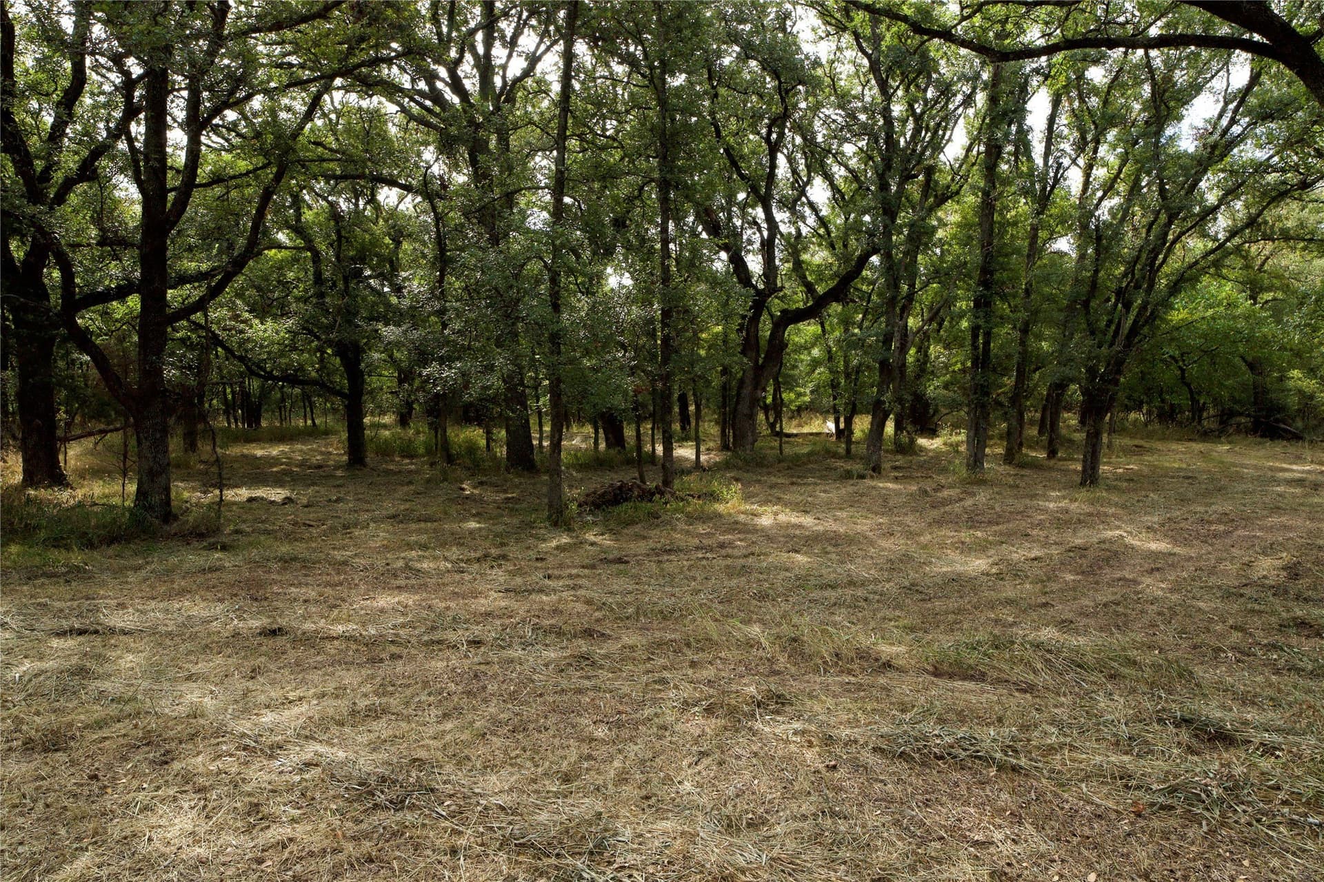 18.9 acres in Parker County - photo 26