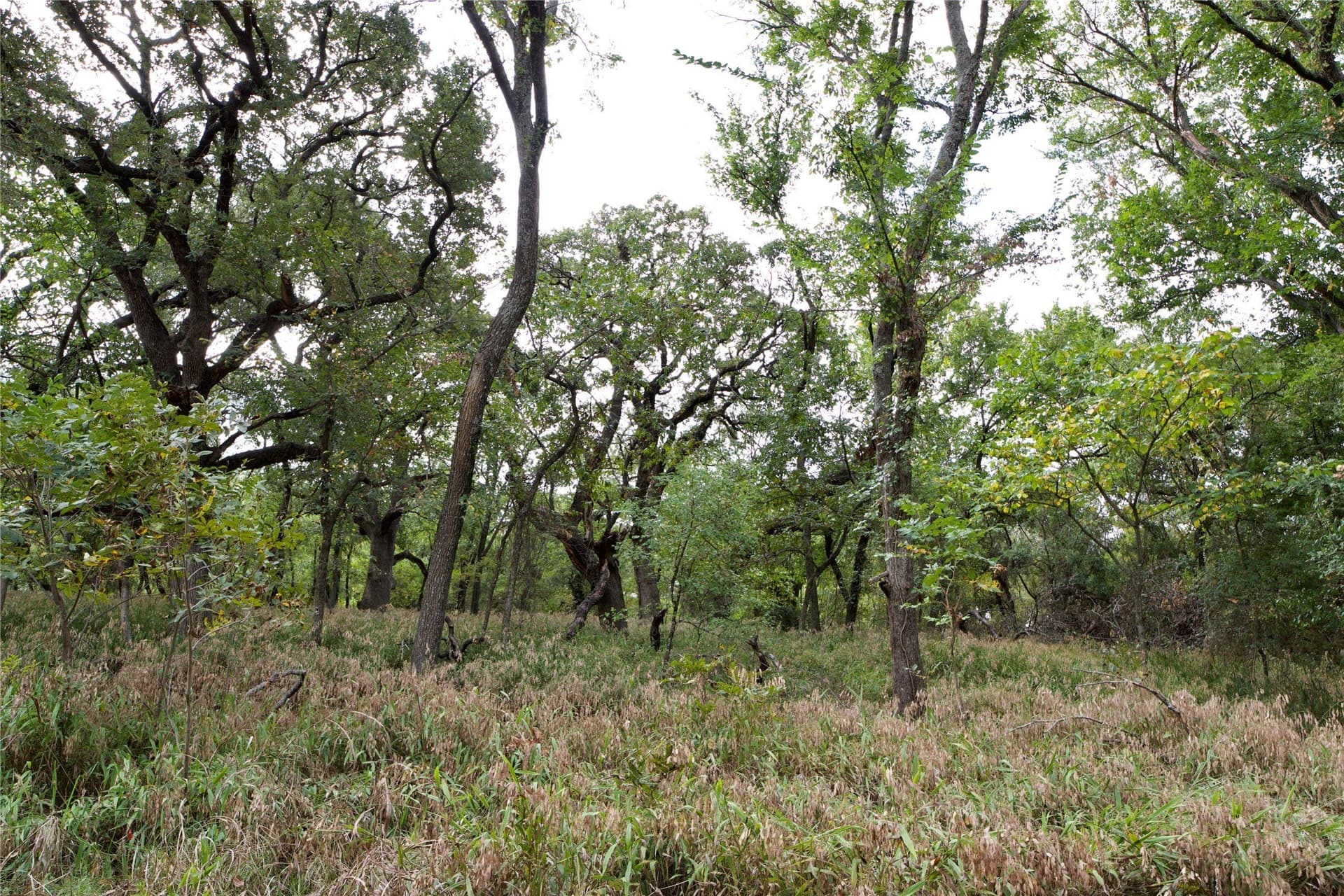 18.9 acres in Parker County - photo 8