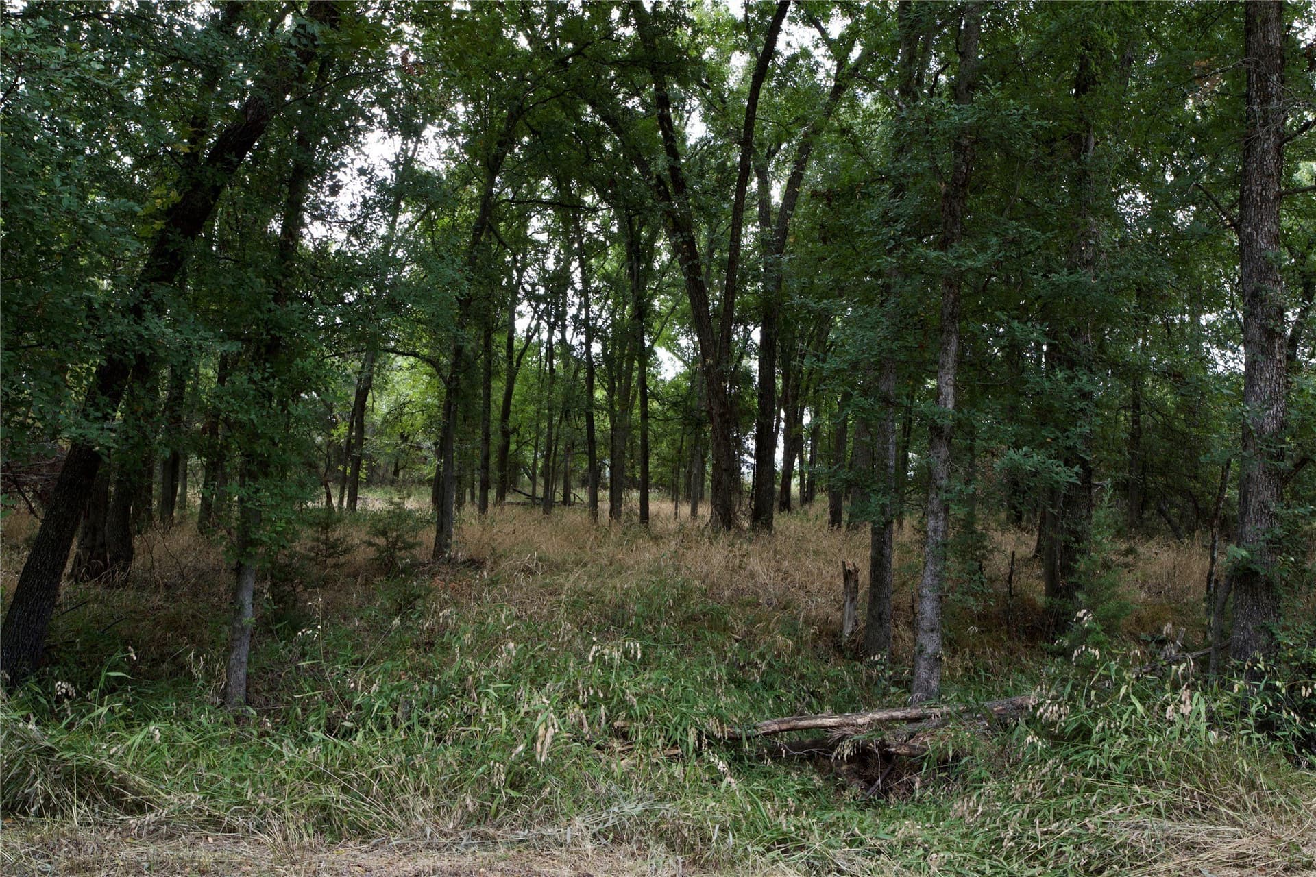 18.9 acres in Parker County - photo 24