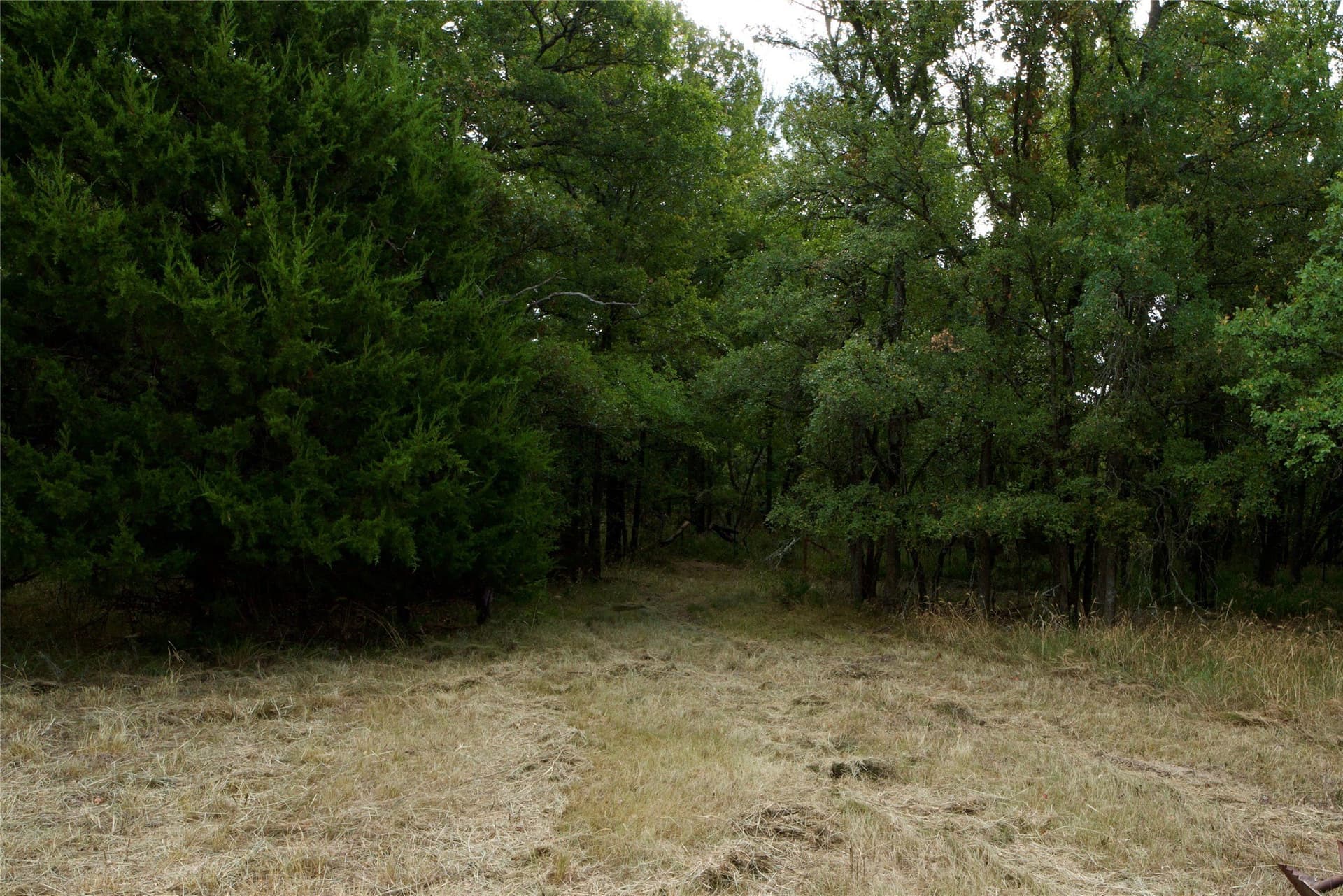 18.9 acres in Parker County - photo 25