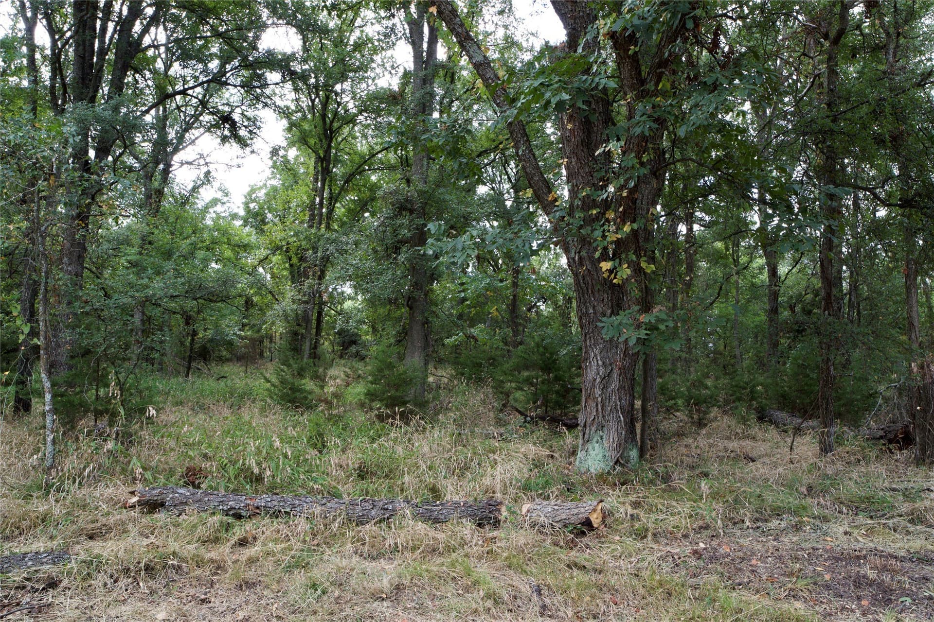 18.9 acres in Parker County - photo 4