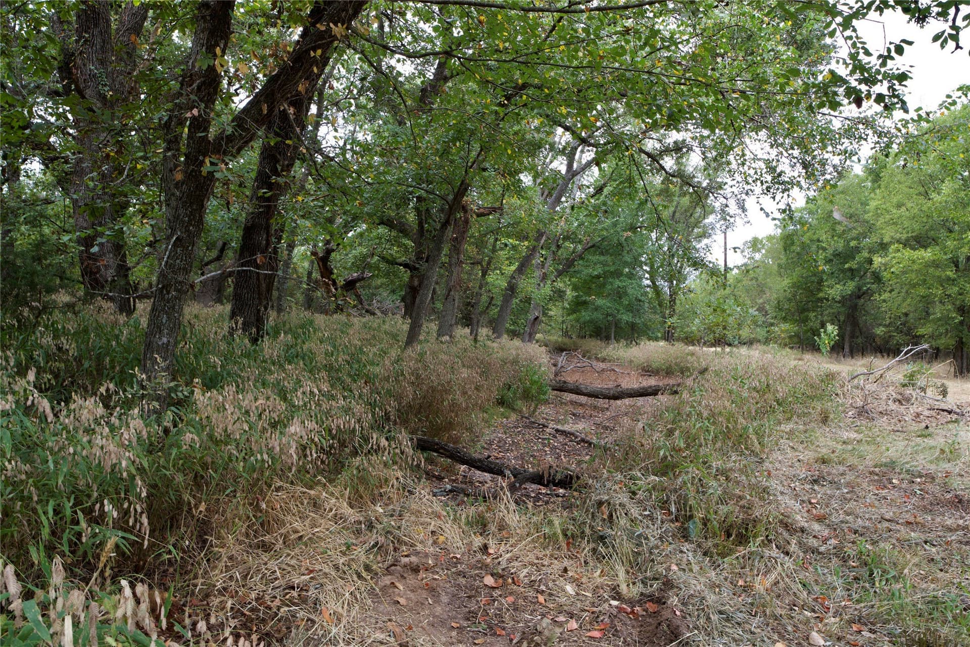 18.9 acres in Parker County - photo 23