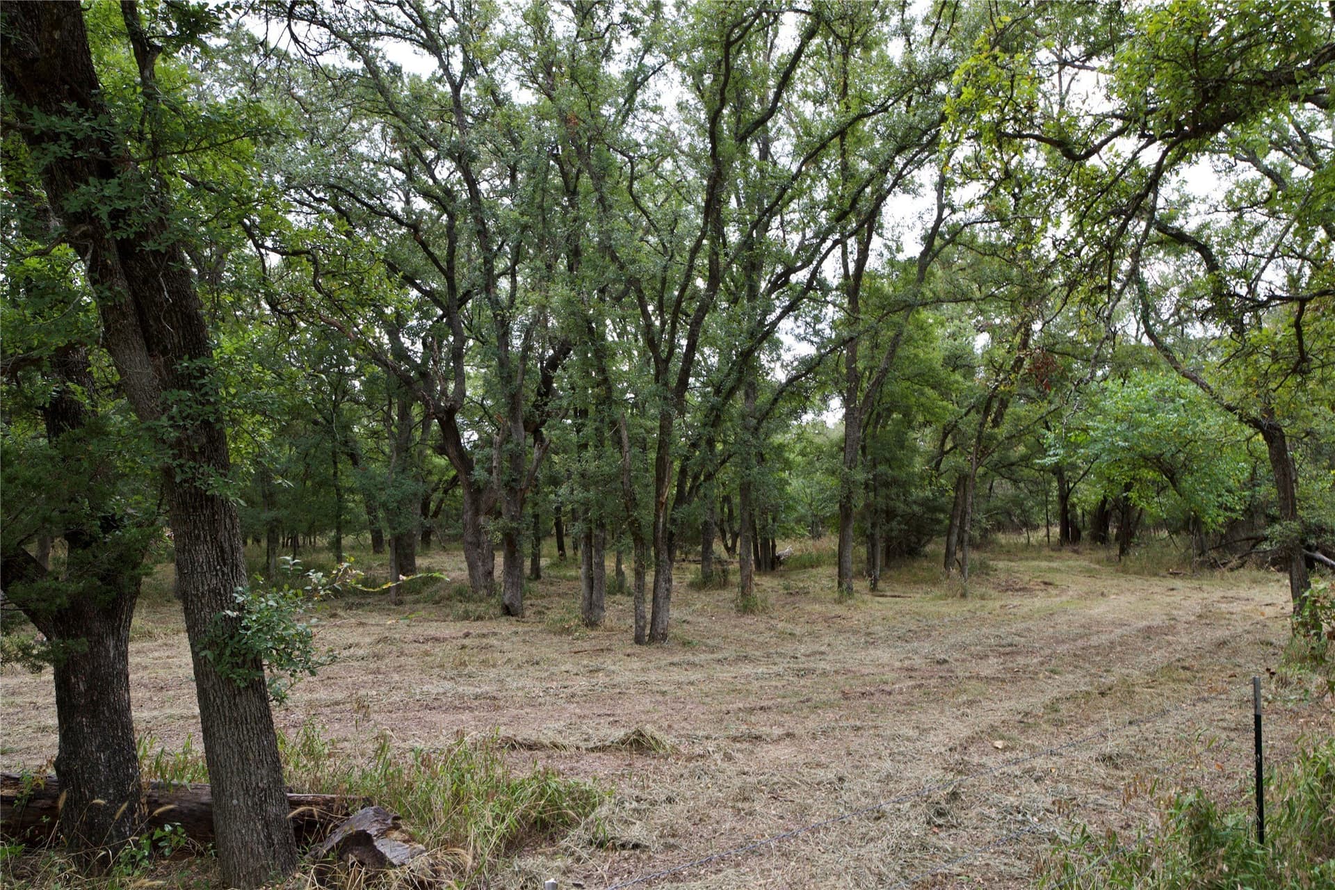 18.9 acres in Parker County - photo 5