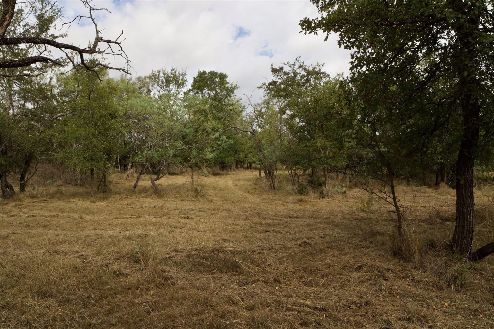 18.9 acres in Parker County - photo 9