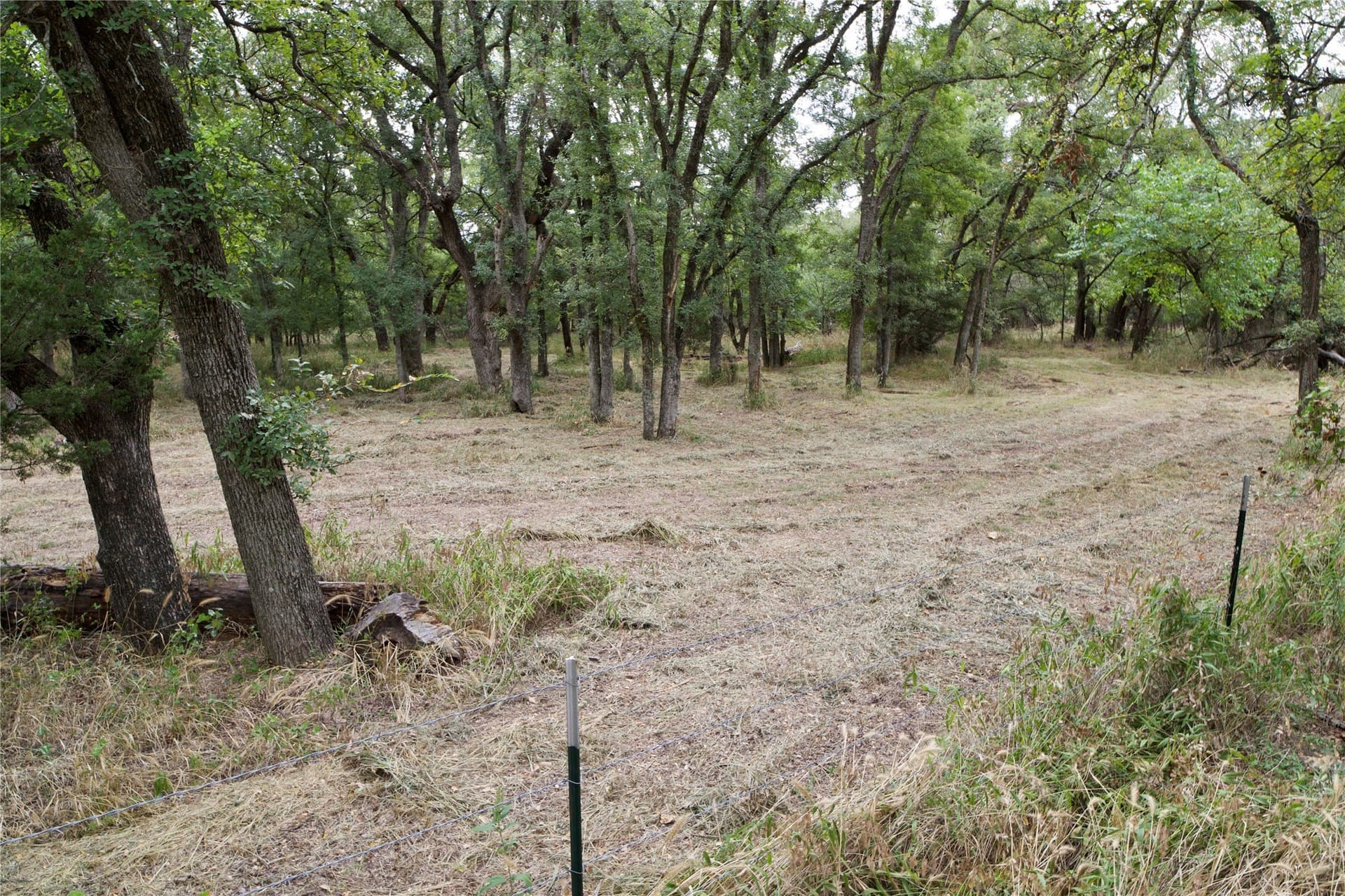 18.9 acres in Parker County - photo 12
