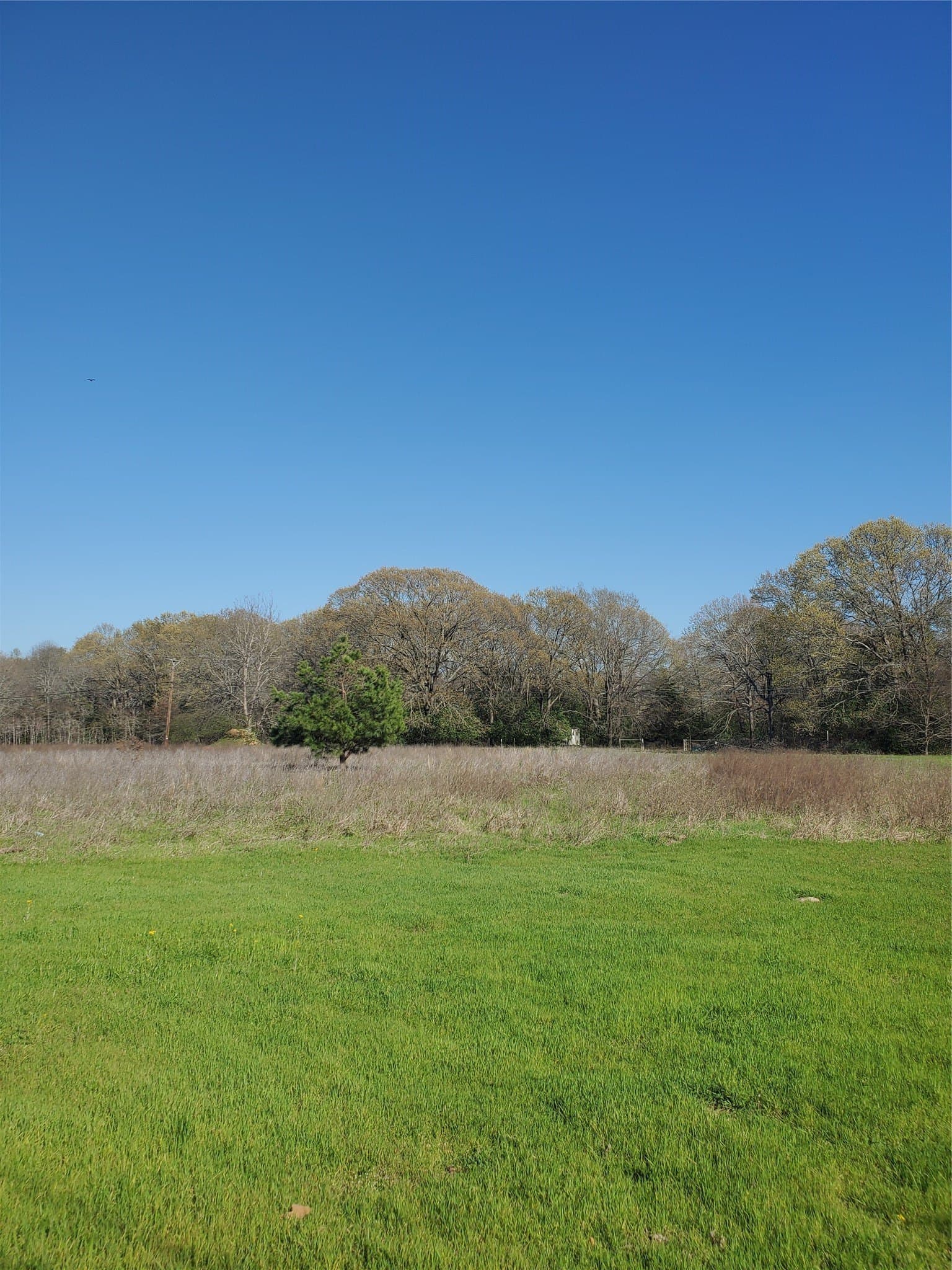 4.93 acres in Henderson County