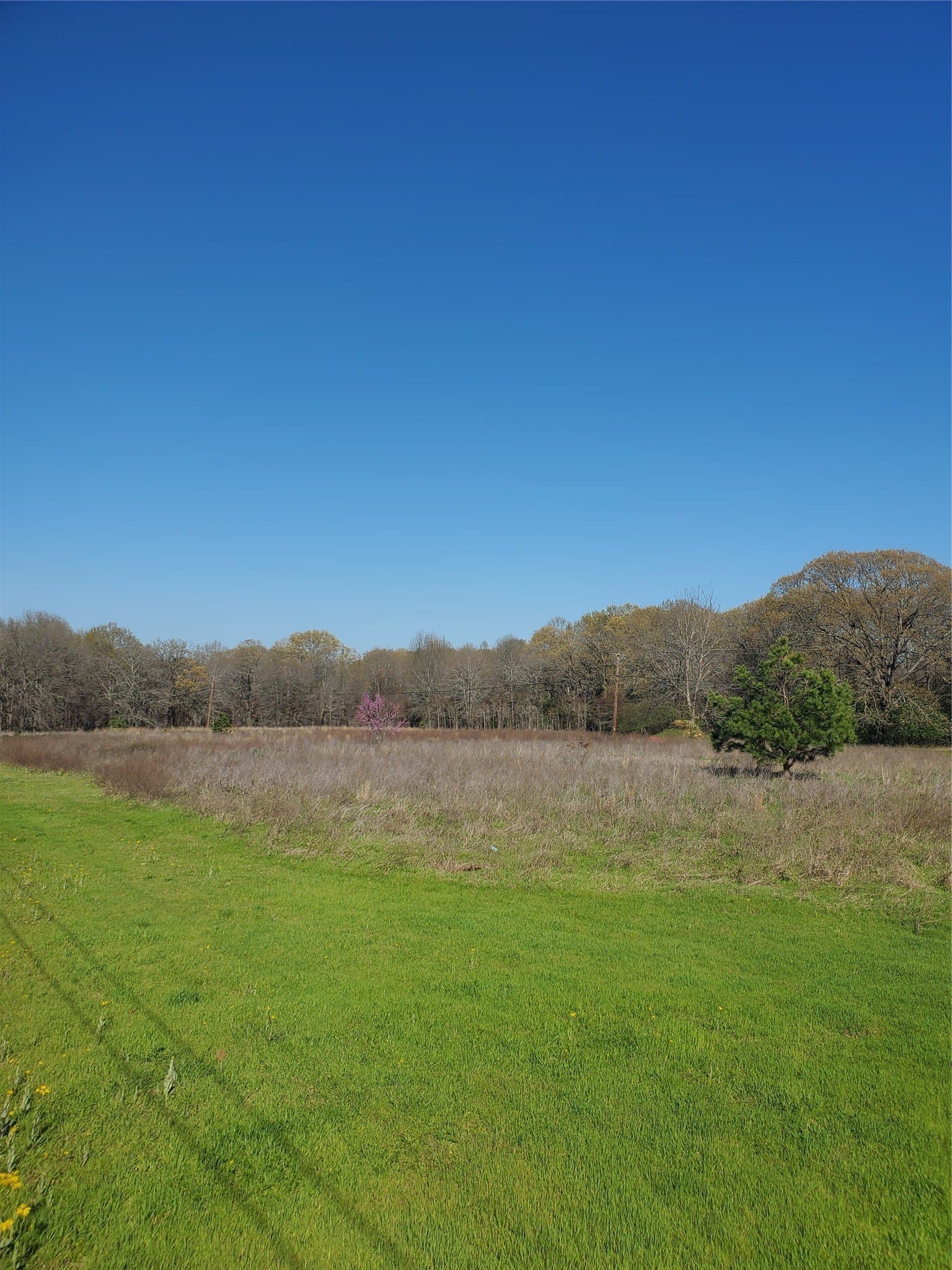 4.93 acres in Henderson County - photo 2
