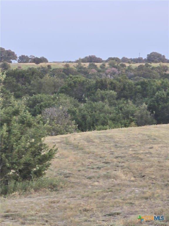 5 acres in Coryell County - photo 4